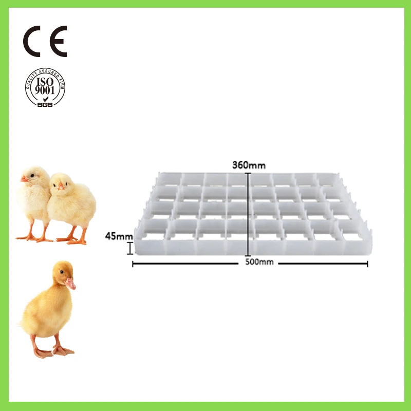 Factory supply plastic egg tray for incubator