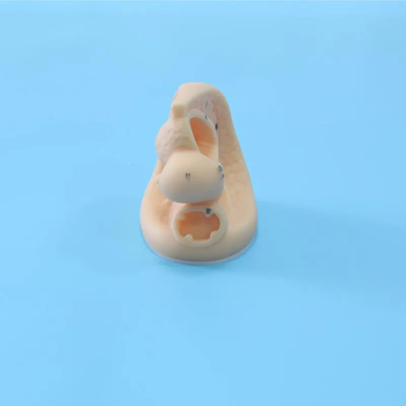 ADA-H6D medical science human simulation female genitalia and urethral catheterization 3D training models