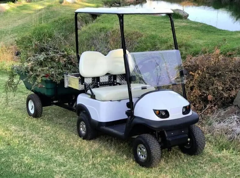 Unique Design Club Car Golf Buggy Mini Golf Buggy Electric Go Kart