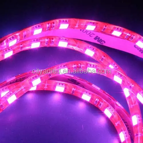 1IC chip master 5050 RGB leds TM1914 IC dream color led strip light , DC12V 36led/m 8.6W IC dream color strip light
