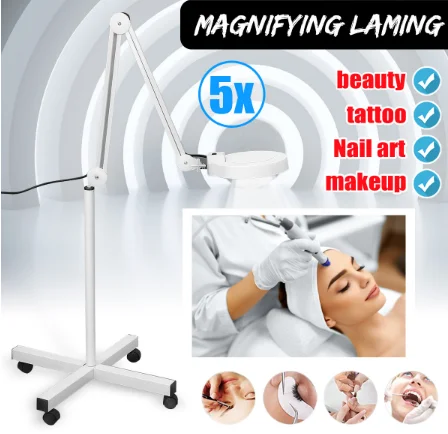 NAIL TALK Factory 24W 5X Floor 8093 Portable Facial Steamer And Led Salon Beauty Magnifying Lamp With Protective Cover