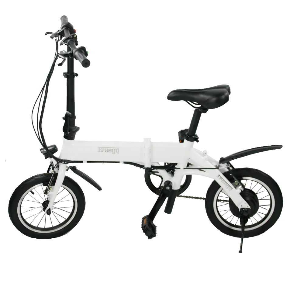 EcoRider Two Wheel Electric Chariot Golf Scooter