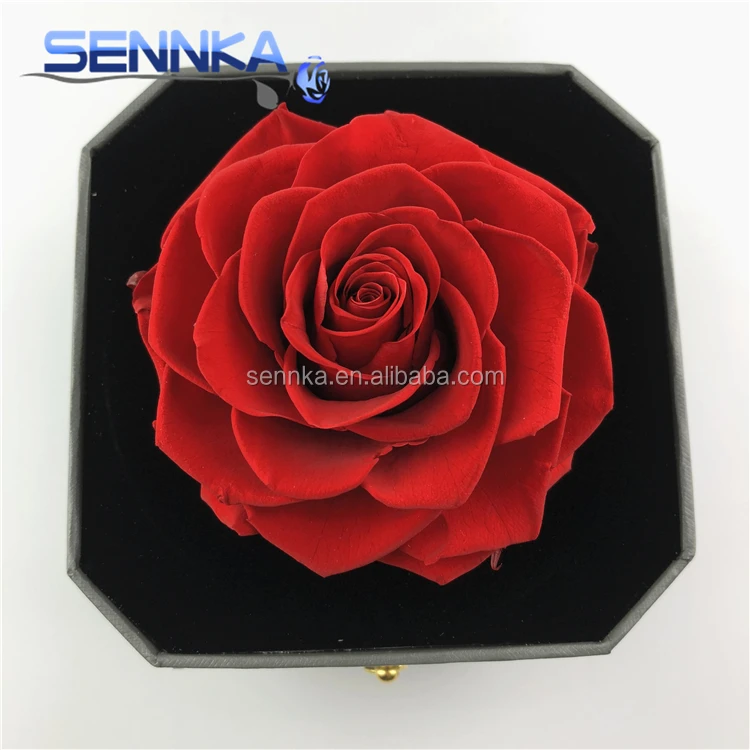 Wholesale Long Life Natural Artificial Flower Big Rose Box 9-10cm Preserved Rose Head for Gift