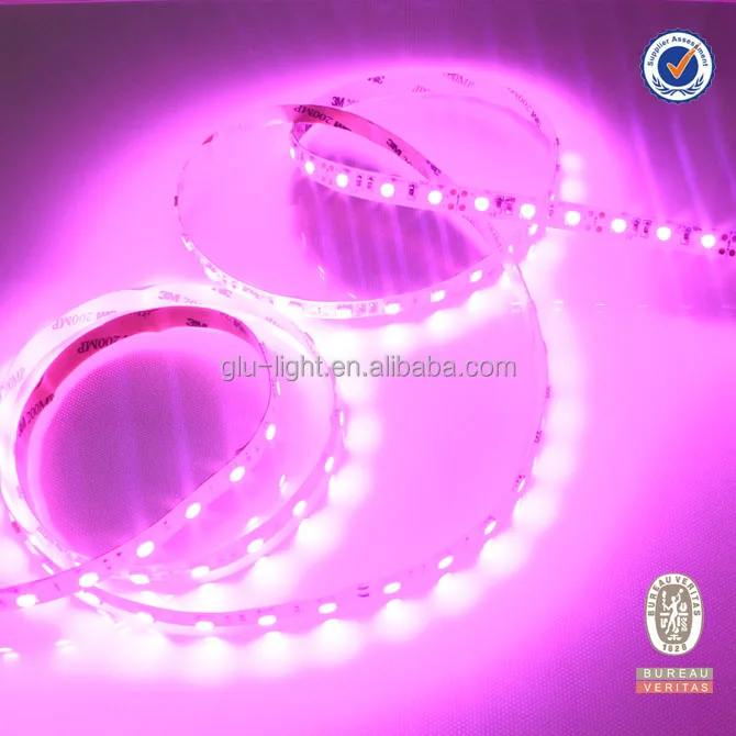 High effective 5050 Pink led strip  440 nm Pink Flexible LED Strip light