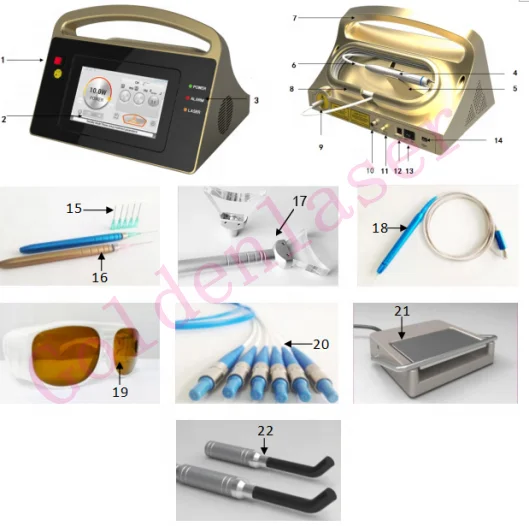 2024 Hot Selling Soft Tissue 10W 980 nm Dental Diode Laser