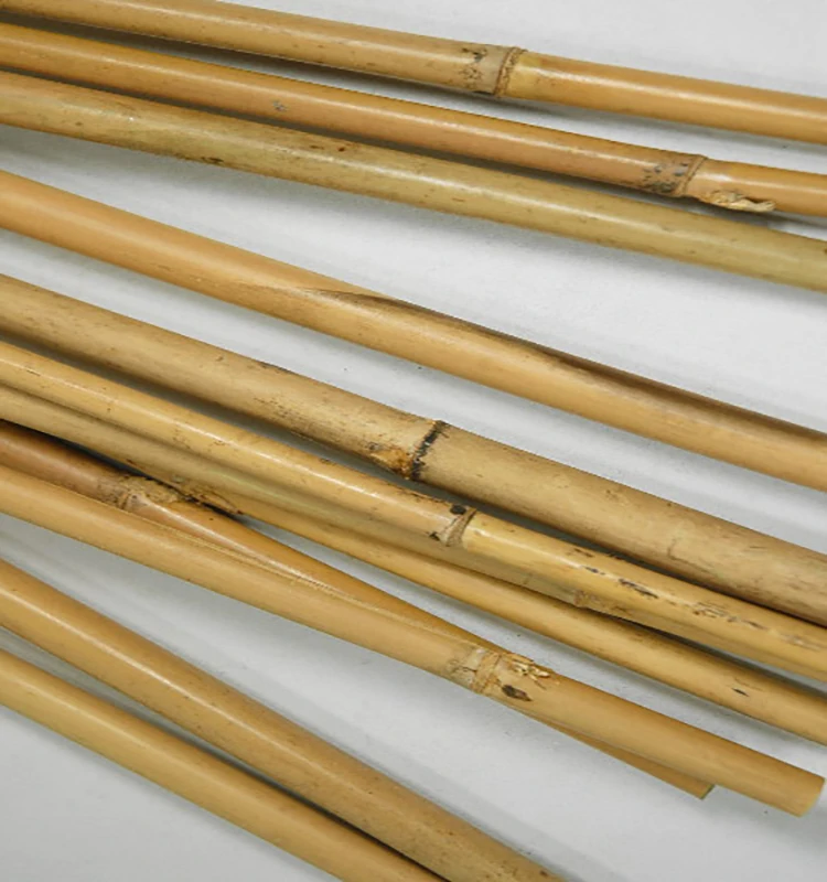 
wholesale! High-quality bamboo poles Plant support rods 