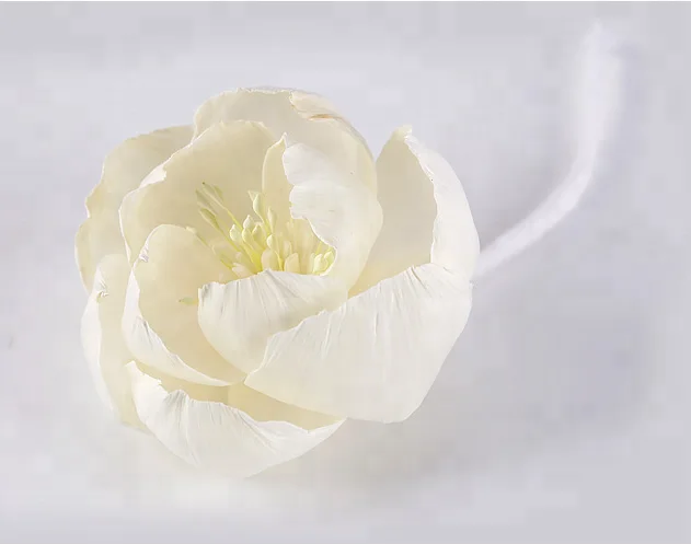 Custom AP handmade wood decorative dried flower with cotton string for reed diffuser