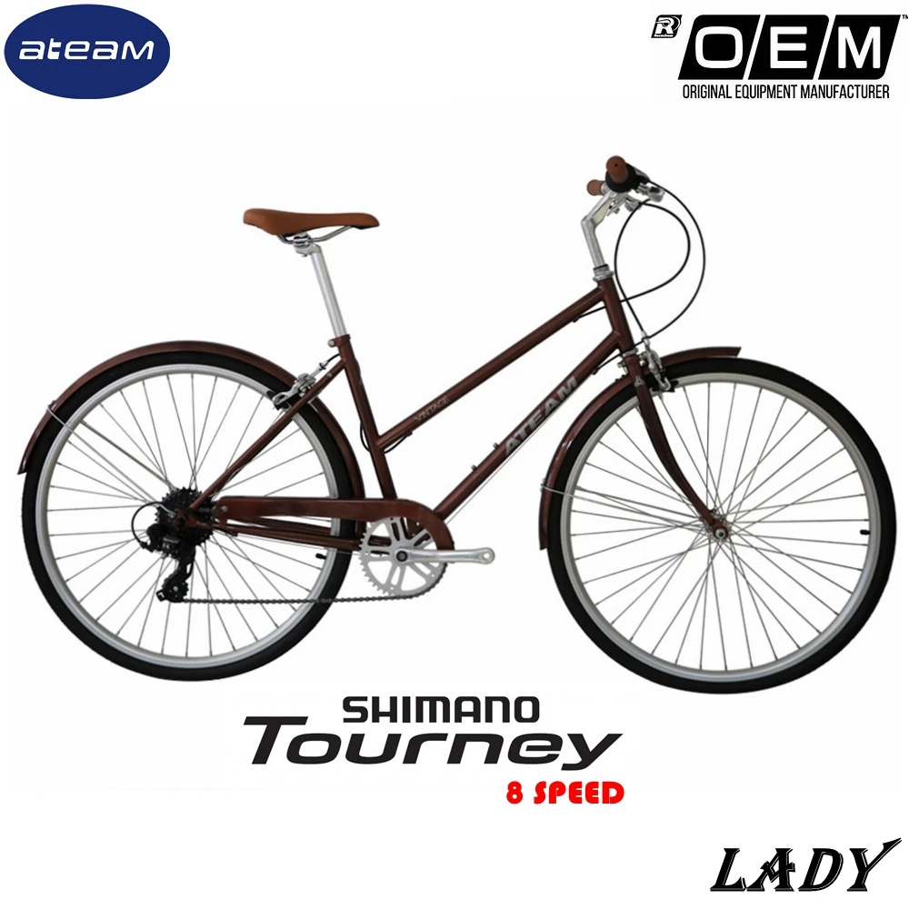 City Bicycle 8- 26 inch Women Bike Holland Style bike Vintage Classic Bike