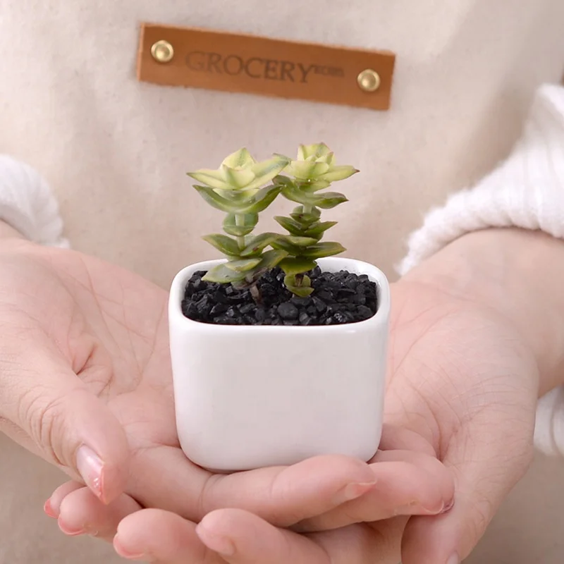 Mini square ceramic fleshy plant flowerpot