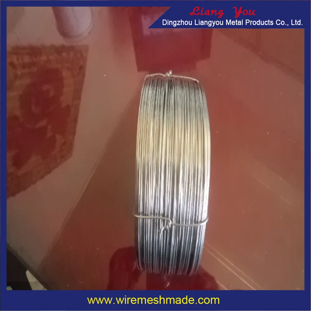 Hot Sale Galvanized Wire Mesh Galvanized Steel Wire