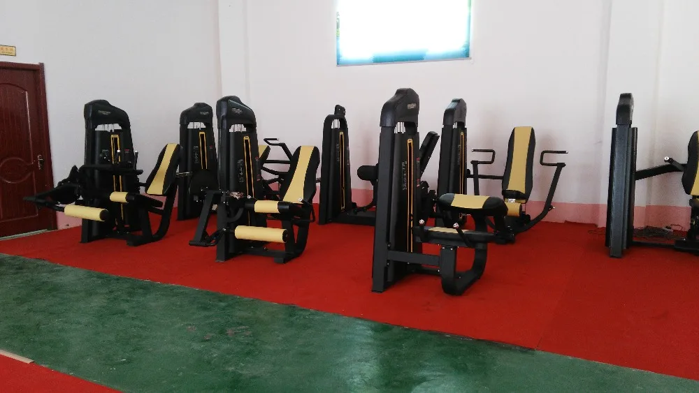 gym fitness equipment back extension bench