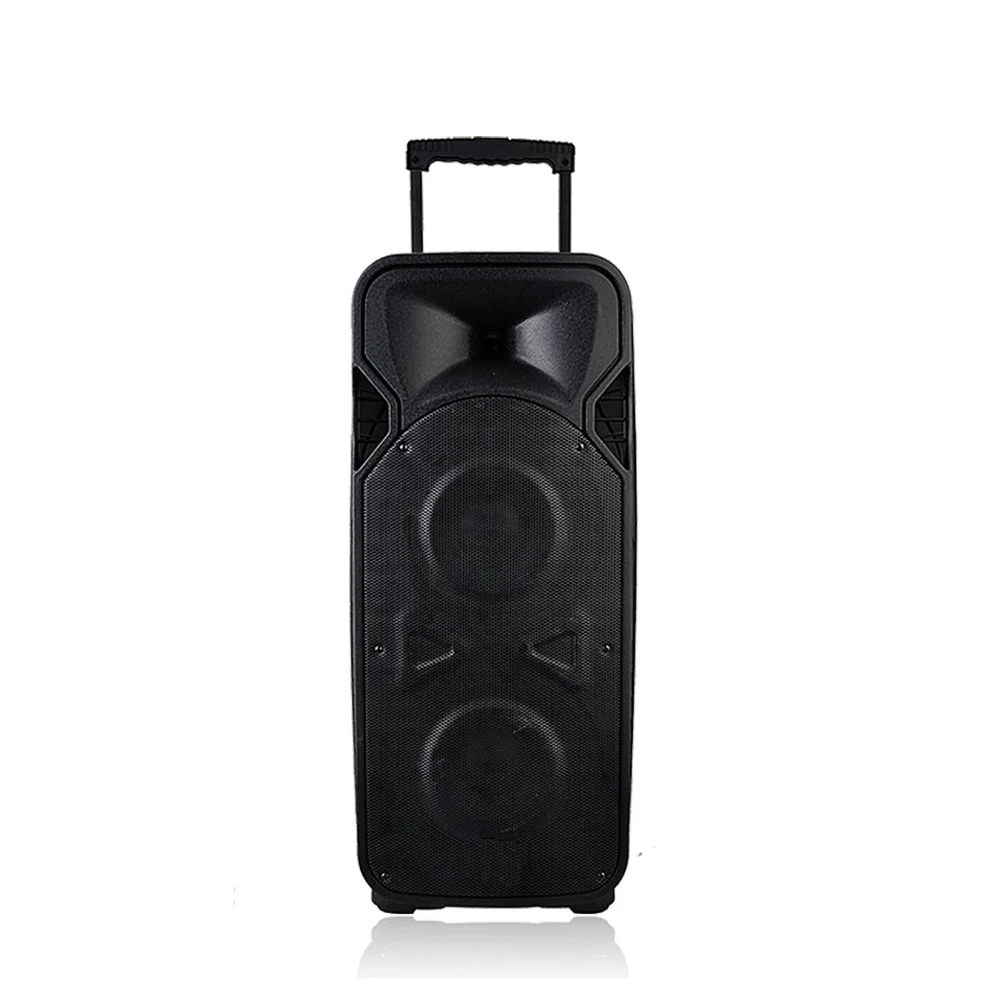 RQSONIC PMM210AQX 2*10 Inch Powered Speaker Portable Speaker With Wireless Mic