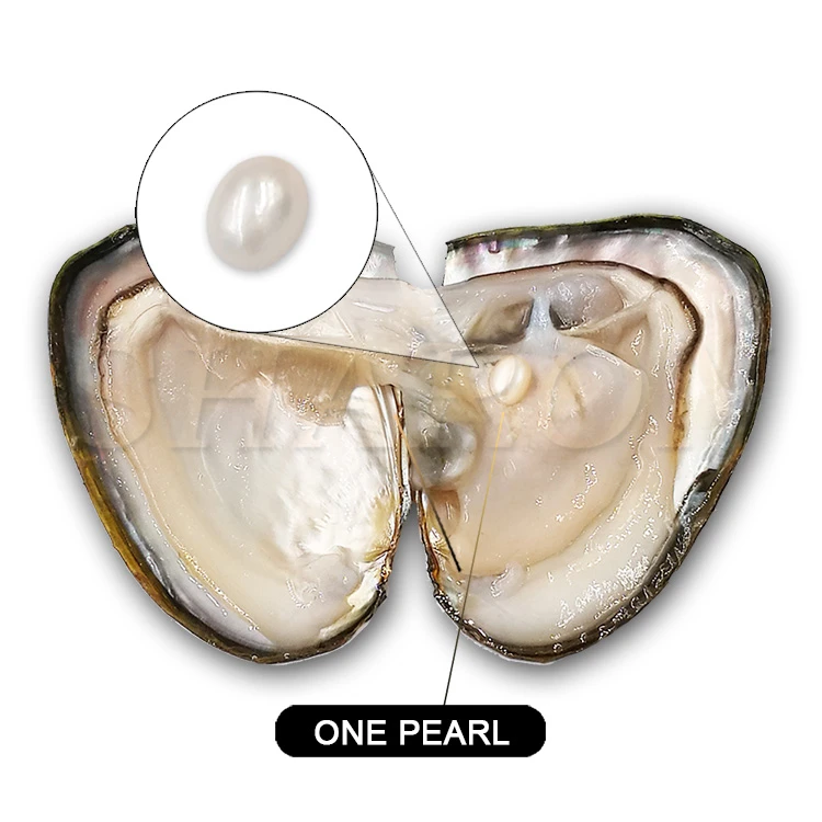 Party Surprise Gift 6-7mm Cultured Fresh Water Mussel Oval pearls Oyster Shell