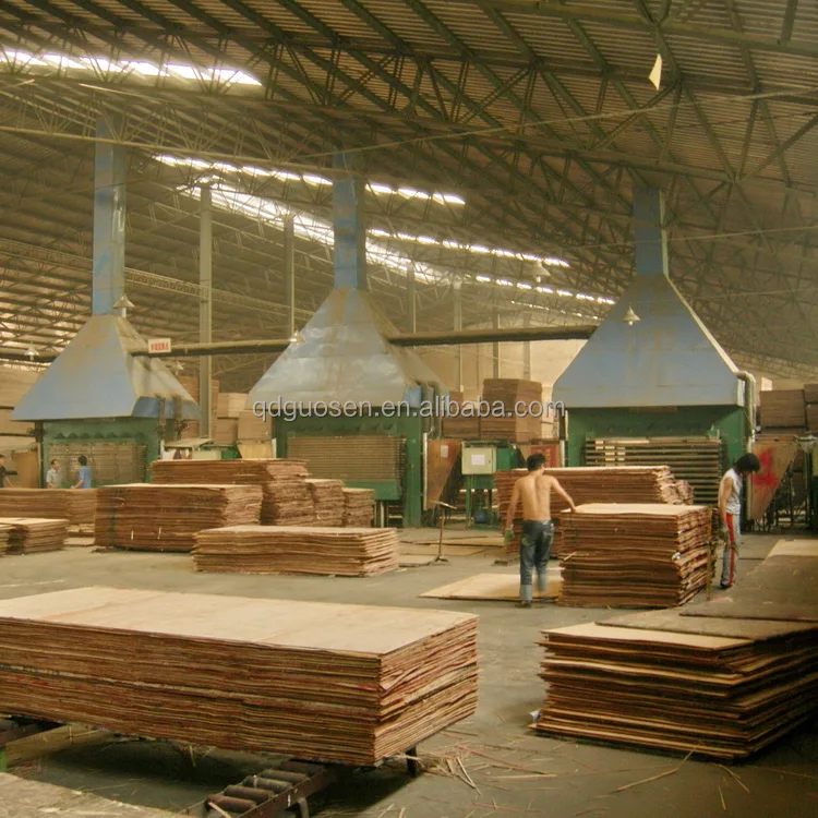 The best plywood press machine /production line /making machine