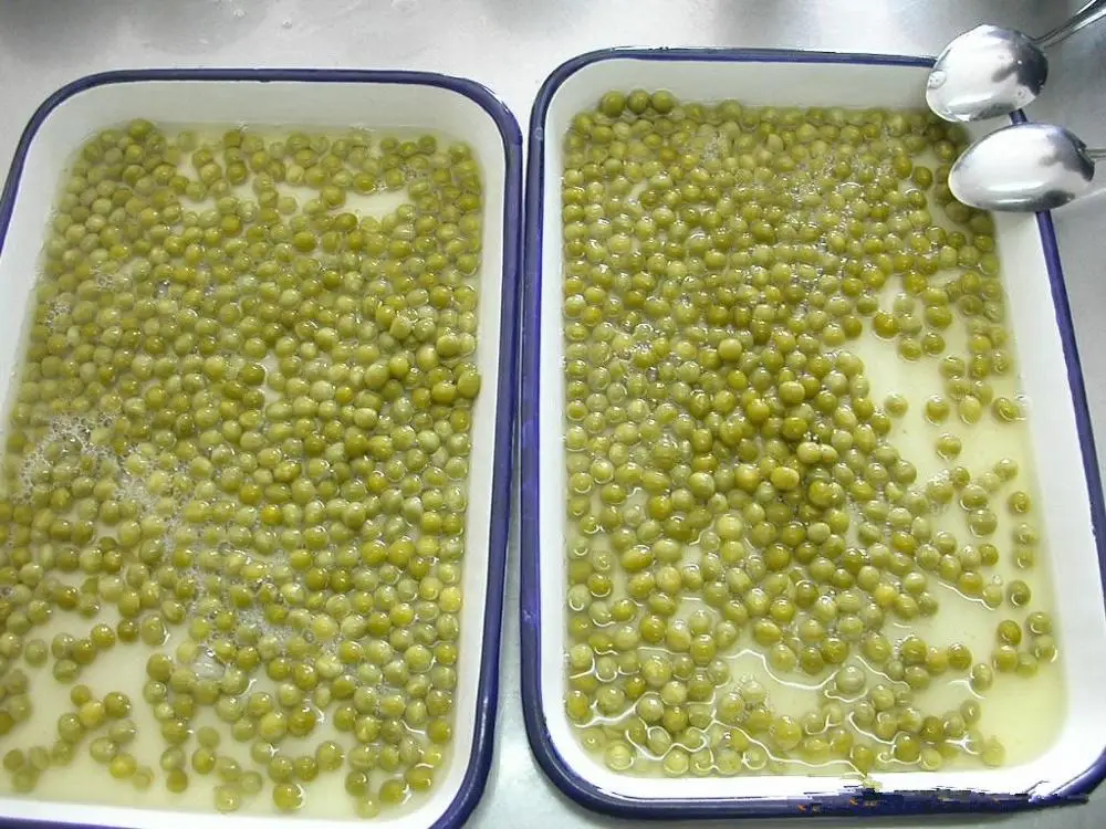 
Agriculture Food fresh canned green peas 184g 