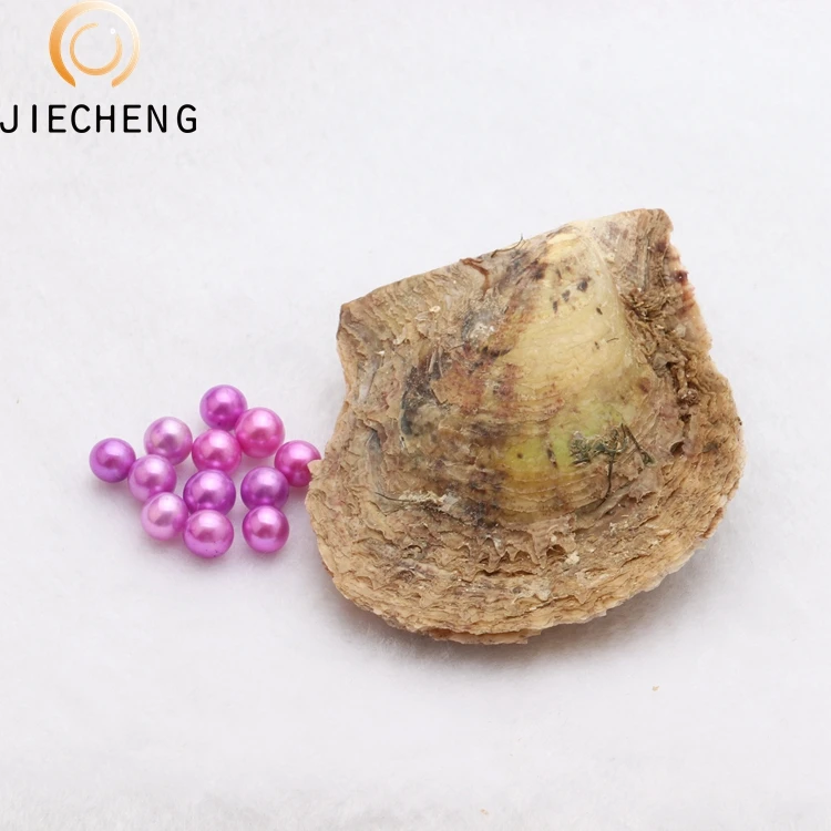 35 Dyed Akoya 6-8mm Freshwater Cultured Oysters With Akoya Pearls,Vacuum Packaged Oyster Perlas Wholesale