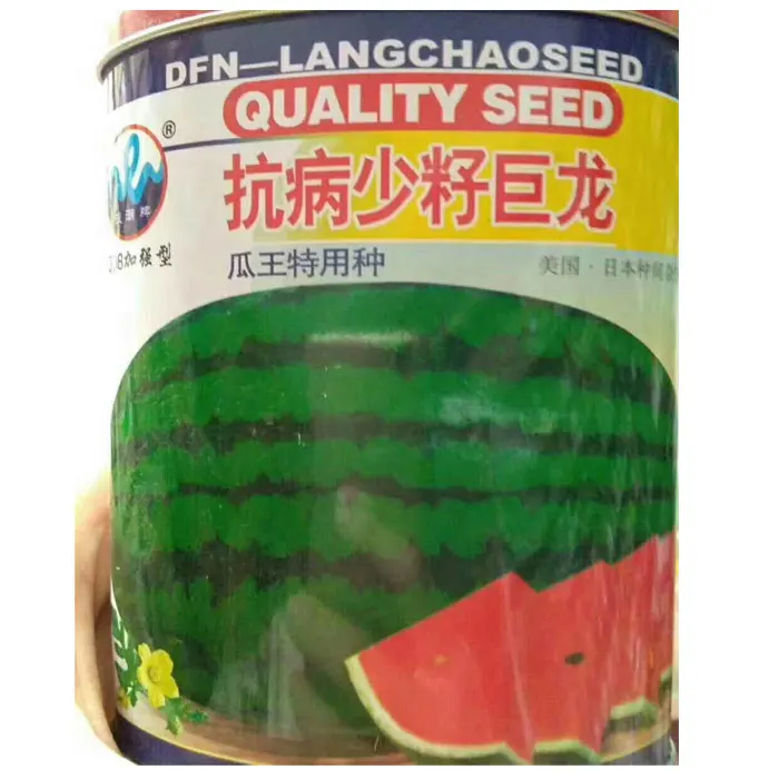 2021 Touchhealthy supply f1 hybrid watermelon seeds from chinese 10gram/bags