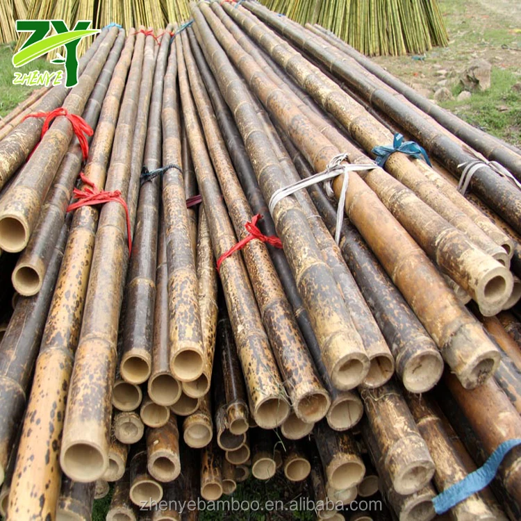 Цены по прейскуранту завода-изготовителя! ZY-1007 Редкие тигровые бамбуковые трости, зернистые бамбуковые трости большого диаметра, пятнистые бамбуковые трости большого диаметра