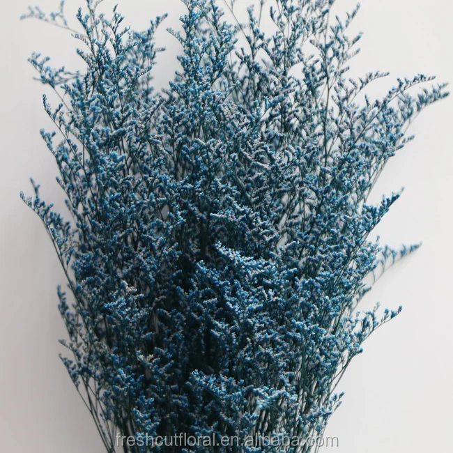 Hot selling preserved Limonium flower dried Baby Bearth flowers forget me Not dried preserved Misty Limonium Flowers