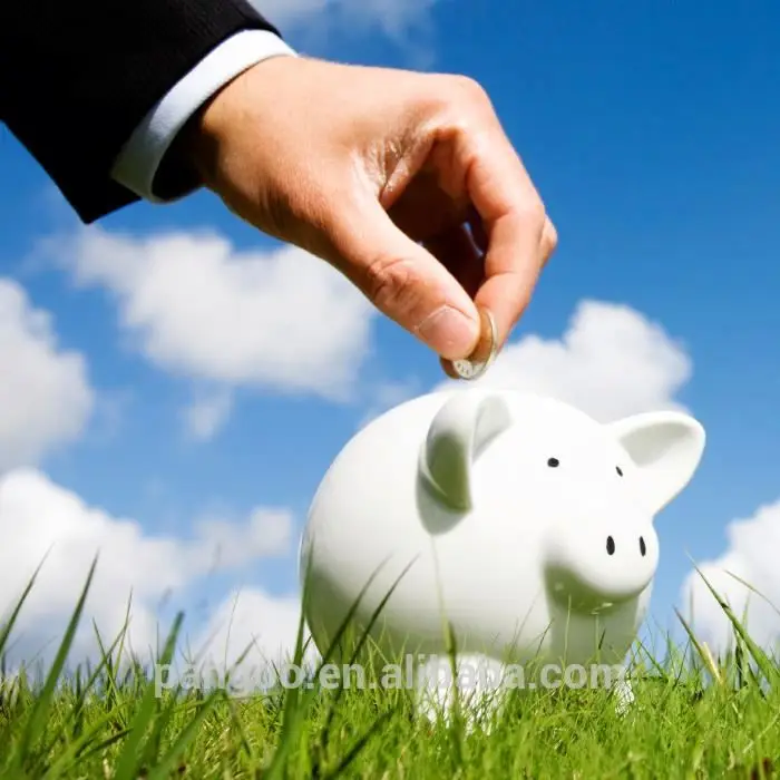 Bio fertilizer bacillus mucilaginosus bio fertilizer for agriculture