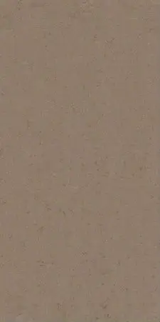 600x600 kajaria vitrified tiles