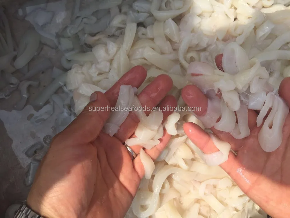 Supply Frozen squid minced meat squid ring