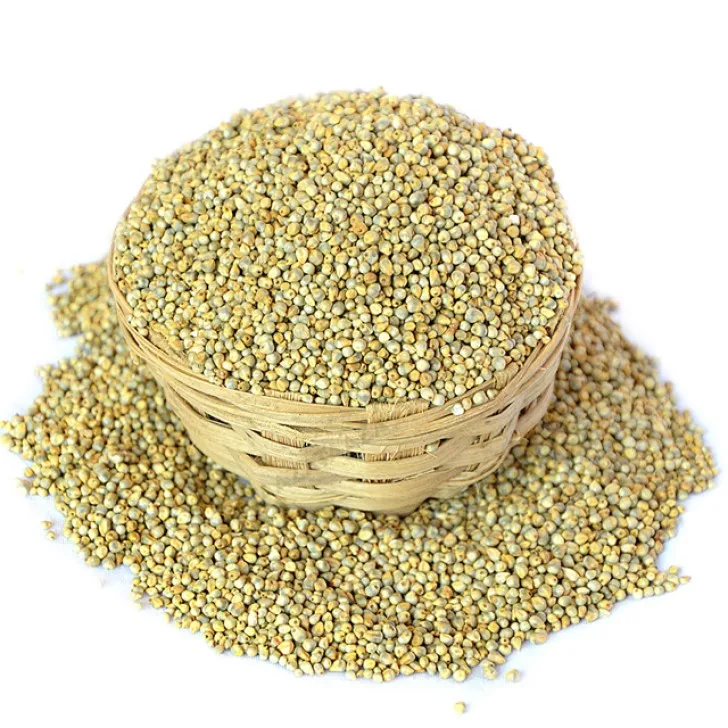 South africa wholesale cheap dried organic pearl millet price