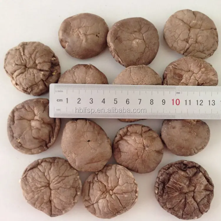 
China Dried Shiitake Mushroom with 3-4 CM 