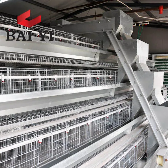  Оборудование для сбора кур