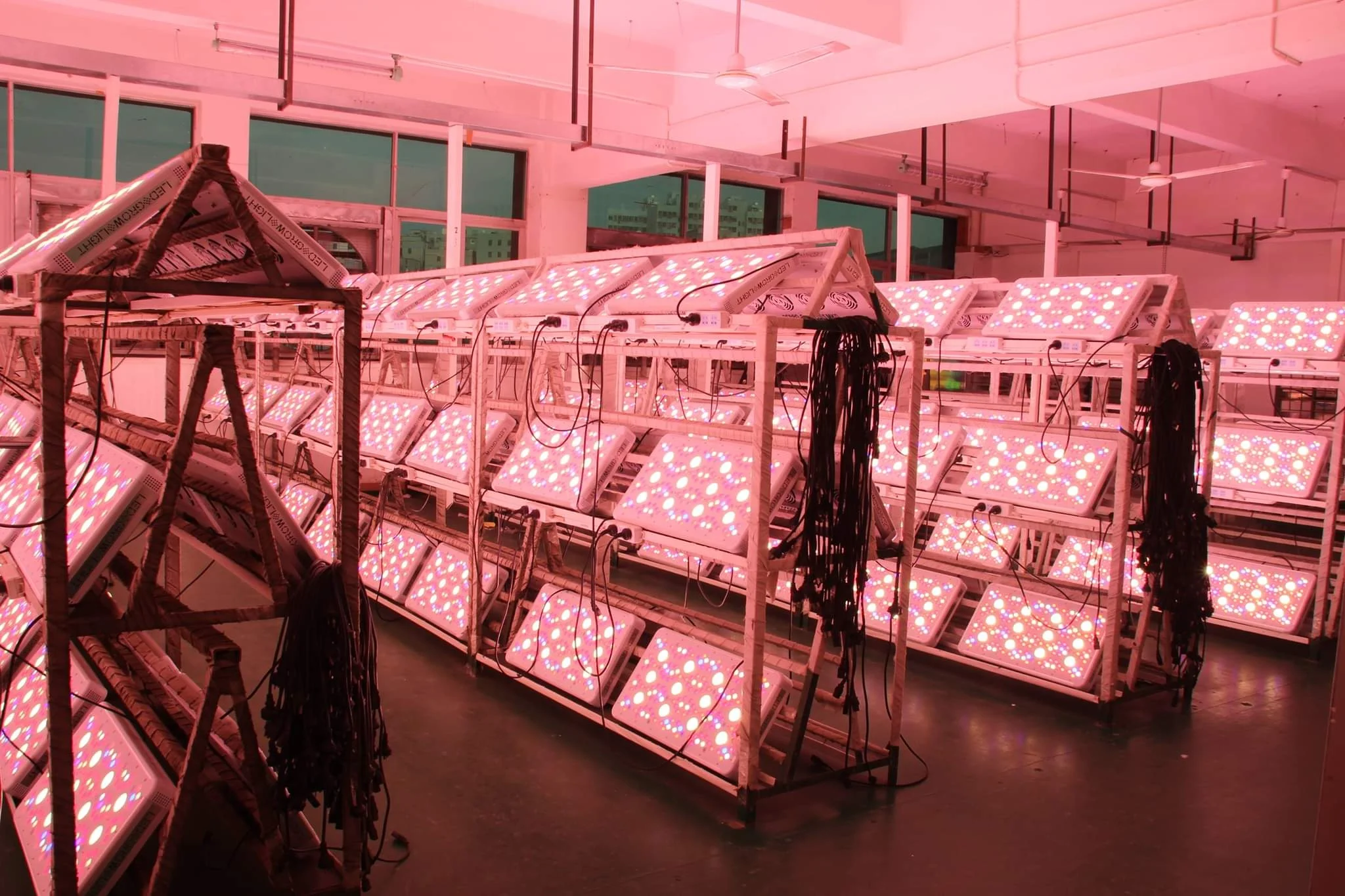 
Herifi Top High PPFD 600watt Usage Power Crees 48XCOB CXA1512 Led Grow Lights Full Spectrum With DUAL VEG/FLOWER Switches 