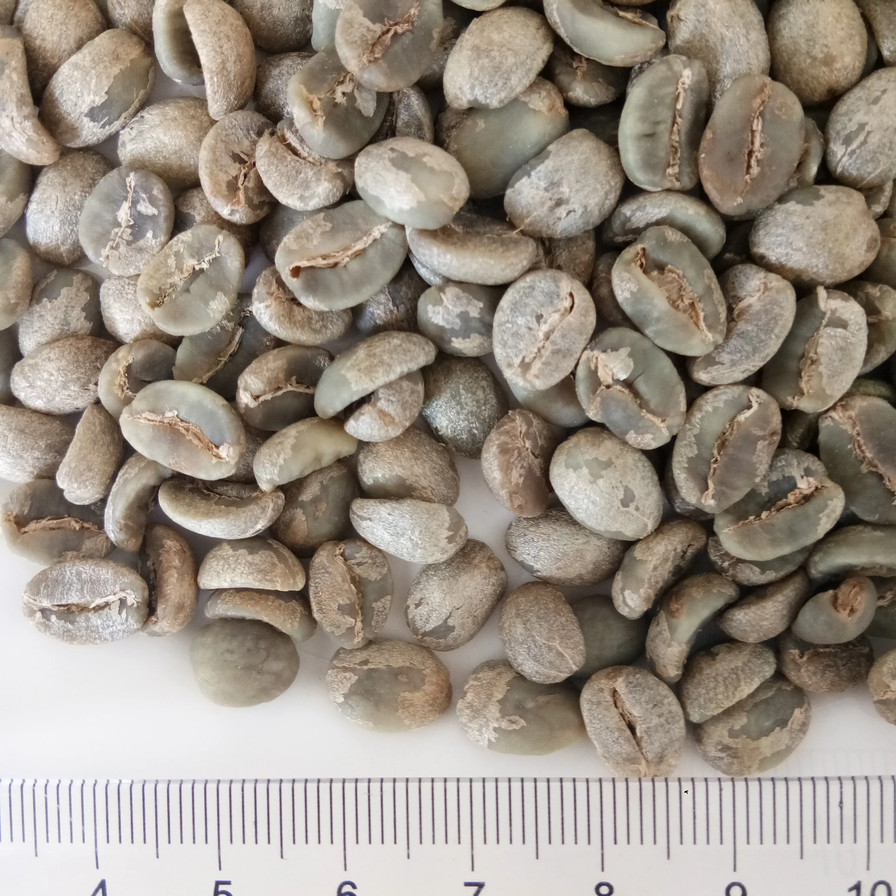 
Chinese yunnan green coffee beans,arabica type,unroasted coffee beans 