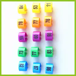 Stocked Feature and plastic clip canary birds rings Application plastic bird leg bands