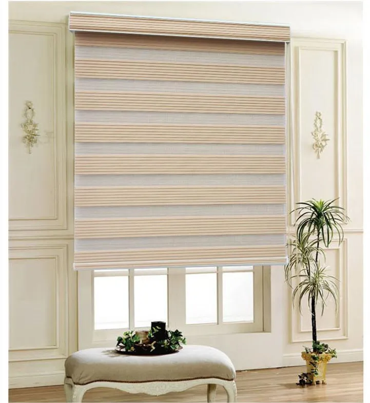 wholesale blackout Zebra motor electrical window roller shades blind for window decoration curtain of guangzhou dongguan
