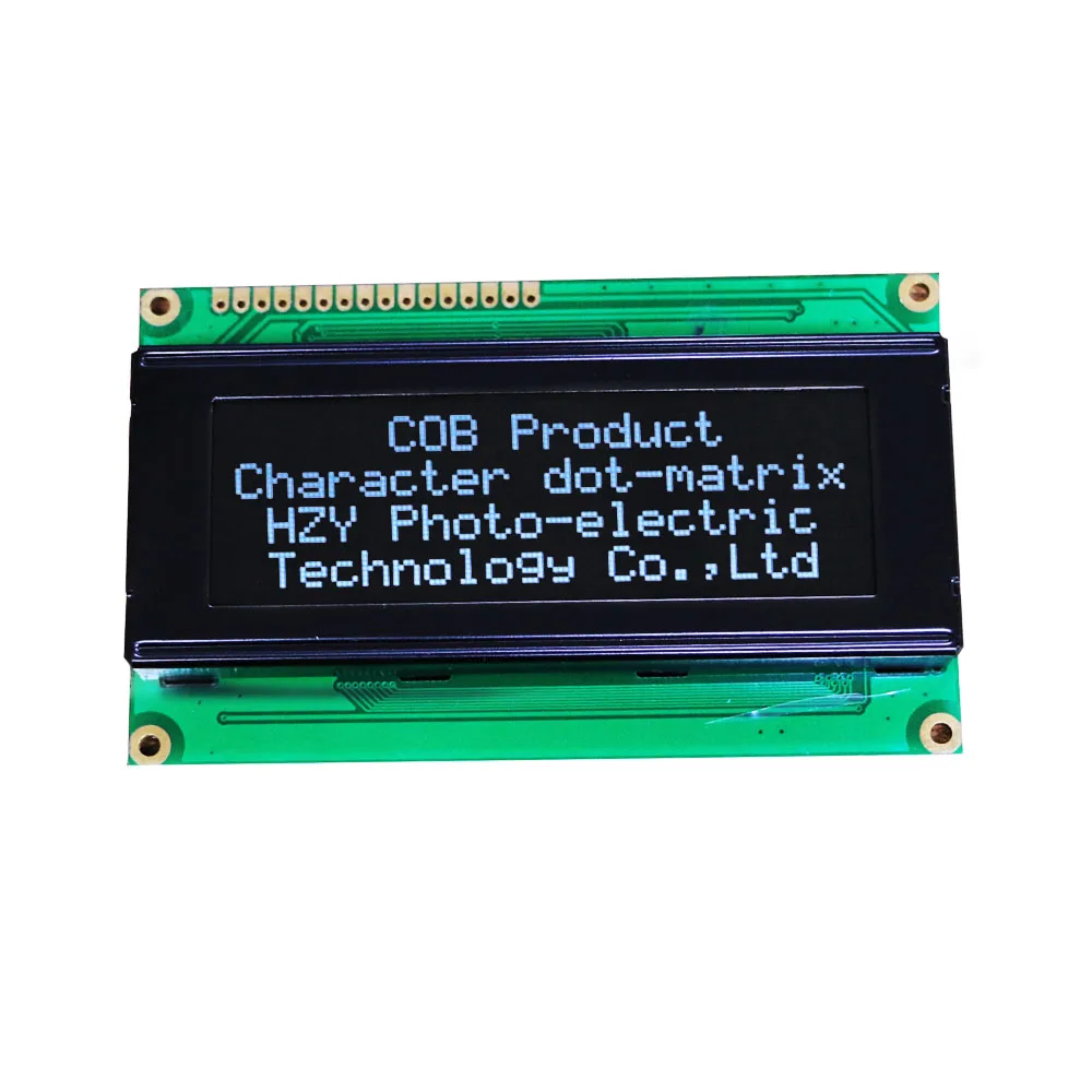 Professional lcd factory OEM 2004 character lcd module display