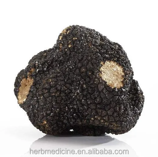 
Edible precious mushrooms natural sliced perigord truffle Tuber melanosporum 