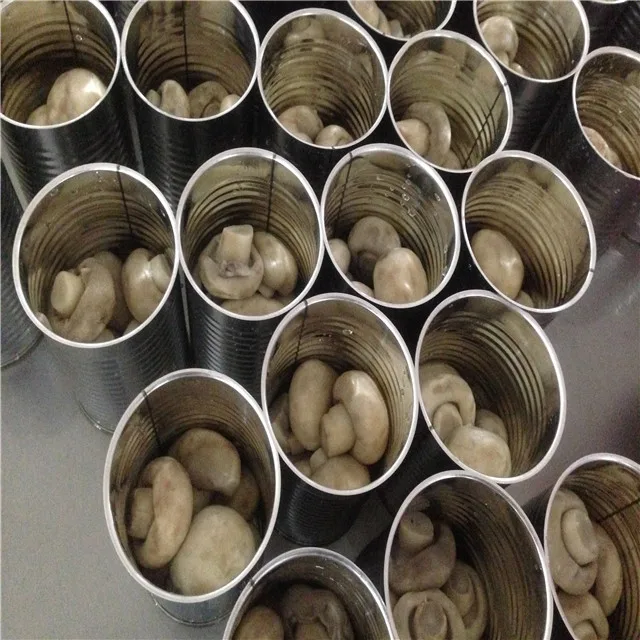 Canned food suppliers offer mushroom in brine