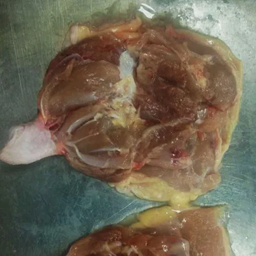 nEO_IMG_whole chicken leg boneless chop 3_
