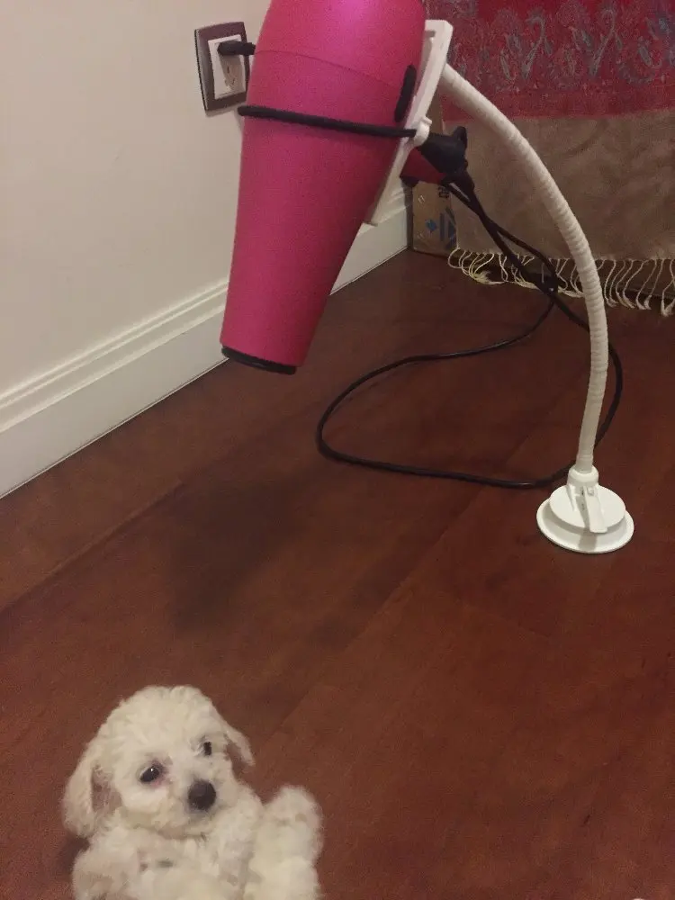 
2015 new Pet Supplies Hair Drier Holder hands free stands for hair blow 