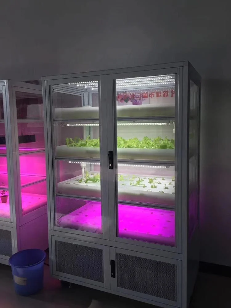 
Small Home Complete Vertical Indoor Hydroponic Lighting Growing Systems For Medical plants ,vegetables growth 