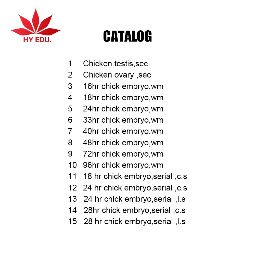 Fixed set hot-products 25kinds chick embryo microscope slides for biology embryology survey