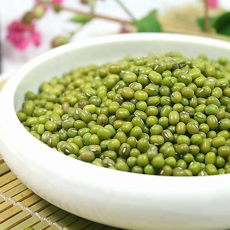 2 6-3 6 мм Sprouting Grade Green Mung Bean для вьетнамского рынка