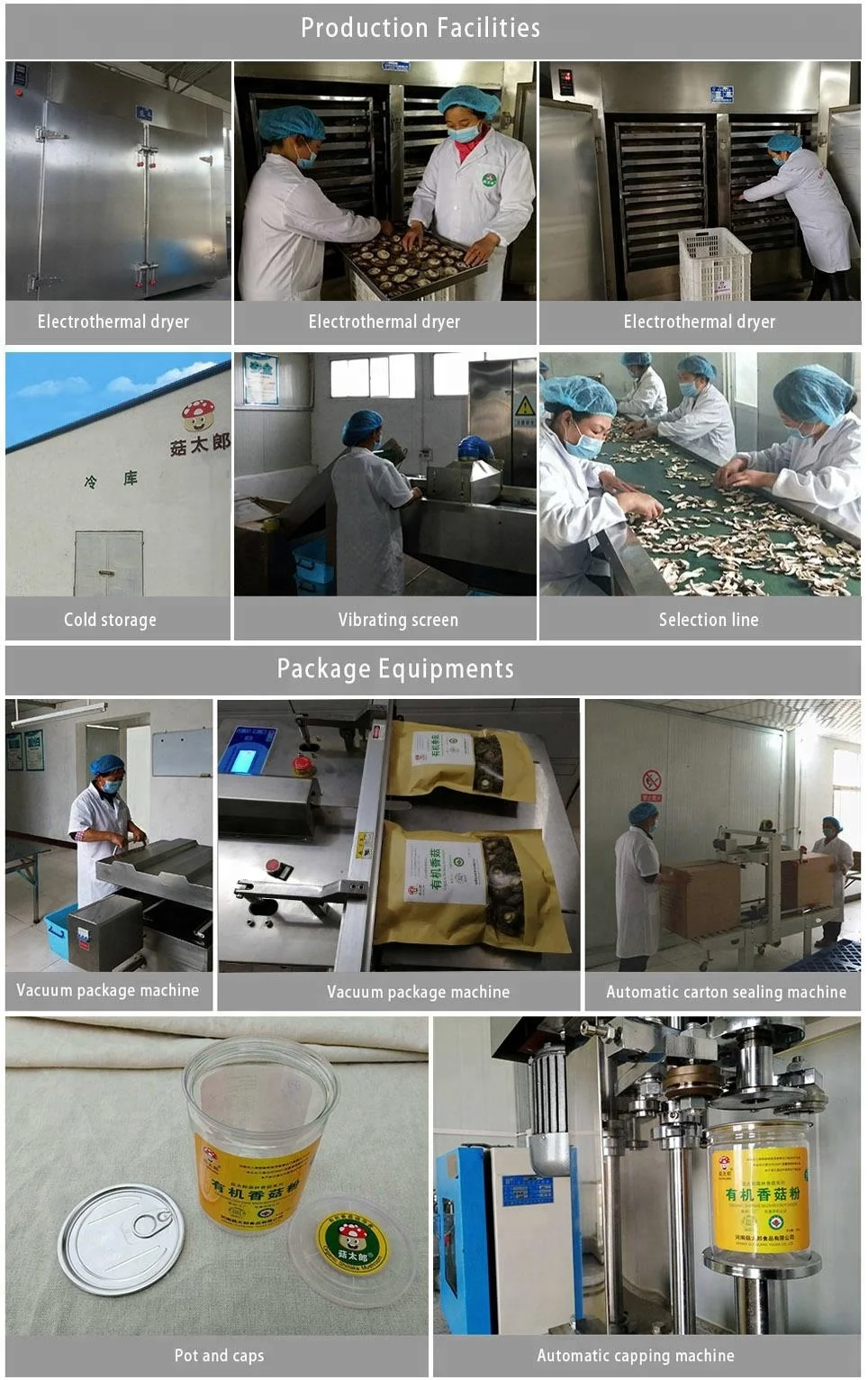 
Mushroom sliced oyster mushroom strip shiitake mushroom slices 