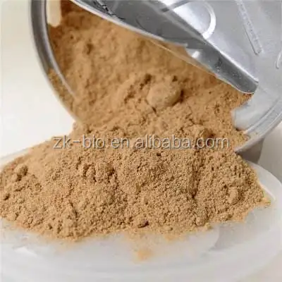 
High Quality Boletus Edulis Powder 