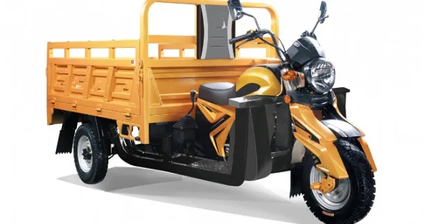 
Mini Farming Tractor /adult Tricycle/cargo bike 