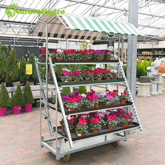 Great galvanized danish flower trolley nursery cc container