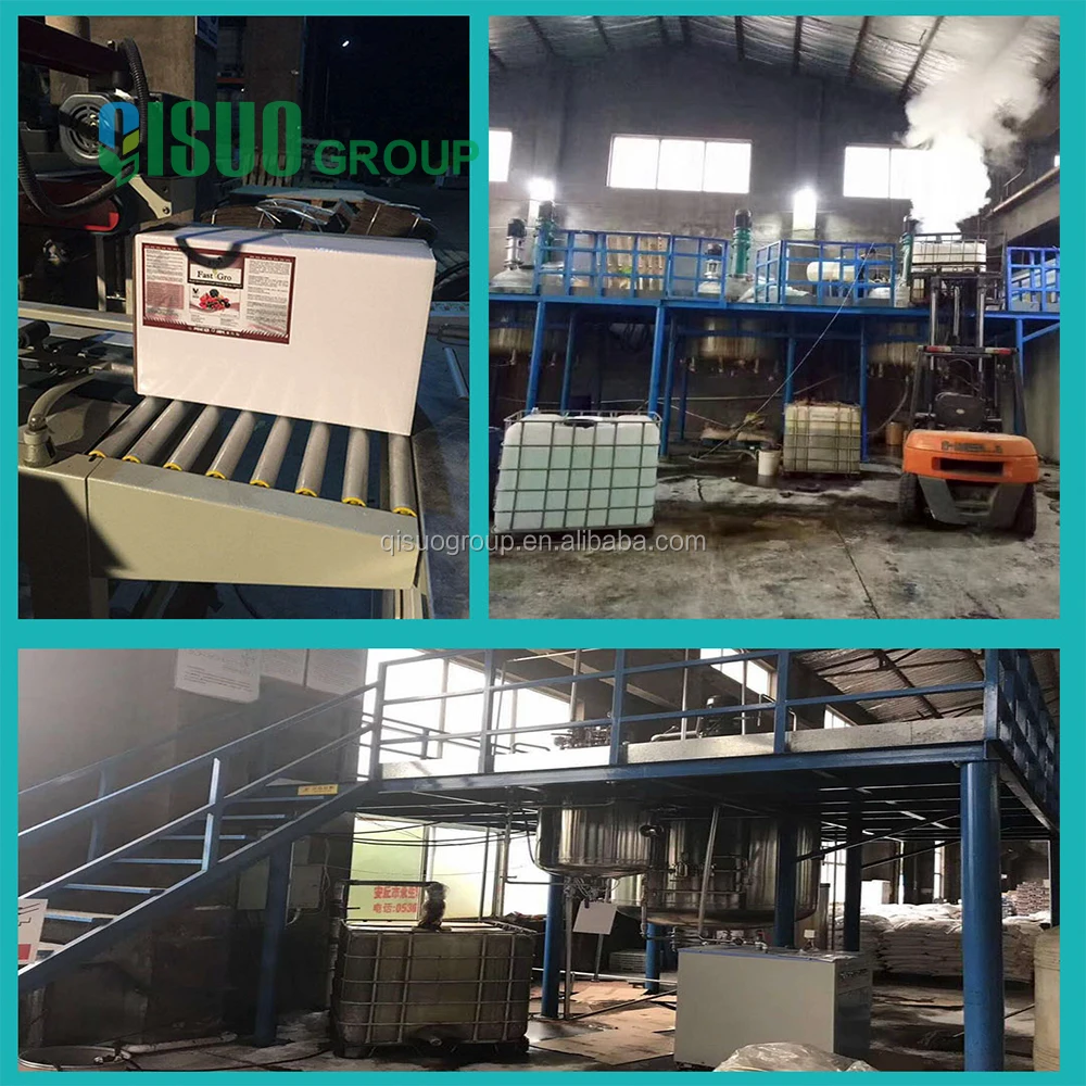 
hydroponics non organics nutrient solution dezign for green leaf: lettuce 