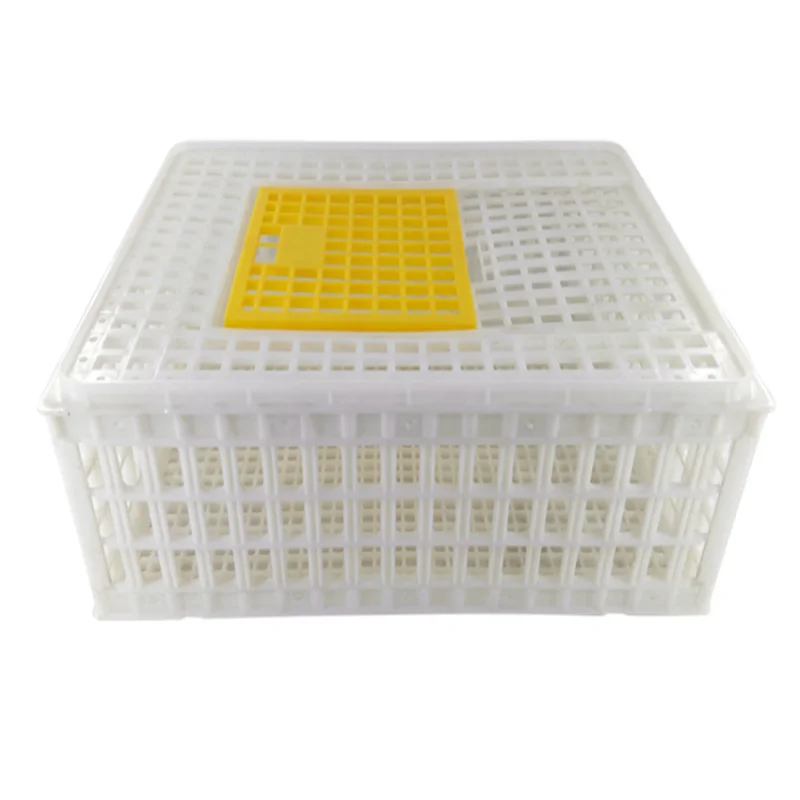 Agricultural plastic crates for chicken transportation crate , live chicken transport cage