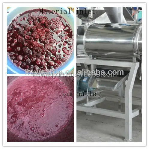 soursop juice machine