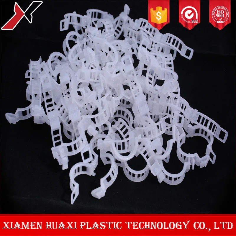 
biodegradable tomato clip in arch forcing house 