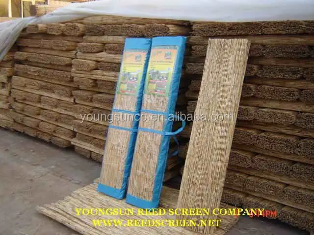 Natural reed screen for window curtain